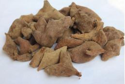 dry gall nut
