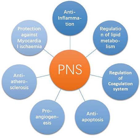 Panax Notoginseng Powder function 2
