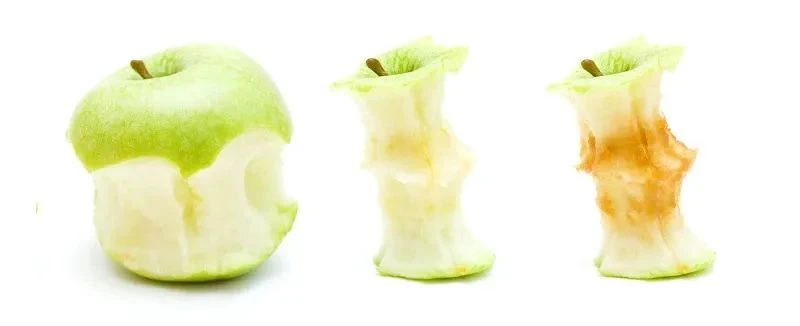 antioxidant effect of fisetin