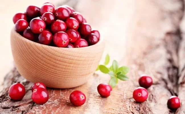 cranberry fruit powder cranberry fruit powder
