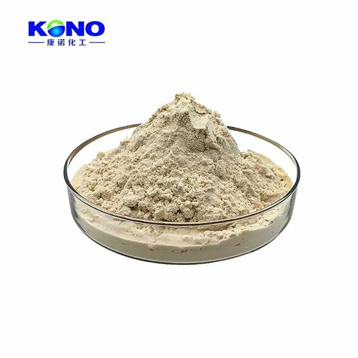 Lumbrokinase Powder