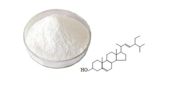 news-599-336 news-599-336